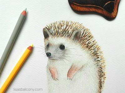 Hedgehog animal art artwork clip art cute drawing graphic handmade handpainted hedgehog illustration nature