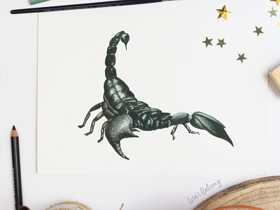 Scorpio - Astrology Illustration animal art astrology editorial gouache handmade illustration insect licensing publishing realistic scorpio scorpion watercolor art