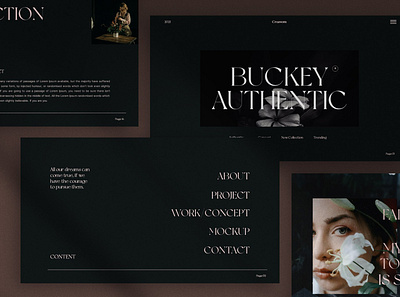 Buckey - Powerpoint Presentation #2 app branding design graphic design illustration logo typography ui ux vector