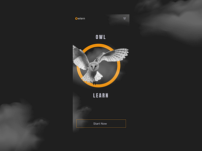 Owlearn - Splash Screen app ui bold branding ios learn minimal mobile owl product design splashscreen ui