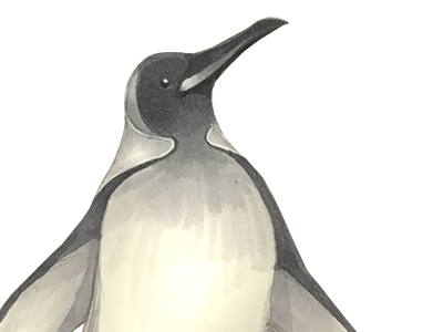 Penguin