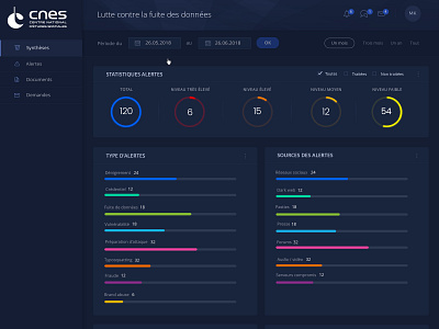 Ceis Interface Dashboard