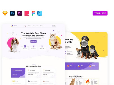 Pet Care Service Template design template web web dashboard