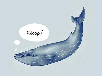 Bloop illustration whale