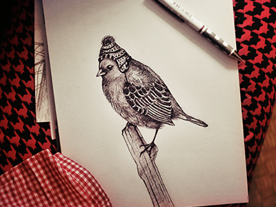 Birdie progress bird pencil sketch wop