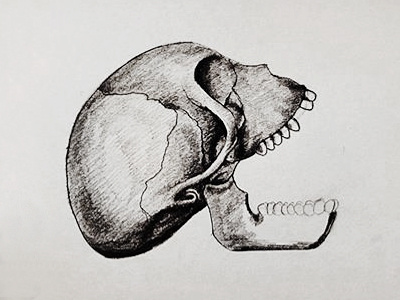 Skull sketch drawing pencil sketch skull