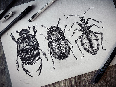 I used to play with bugs bugs drawing pencil sketch