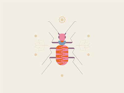 Cute insect bug design geometric art geometric illustration illustration illustrator nature vector