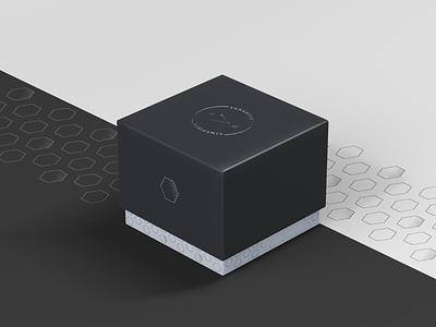Vanadium Watch Packaging box branding design entrepreneurs luxury brand punctual design time vanadium watch box