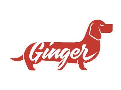 Ginger Logo dachshund illustration logo