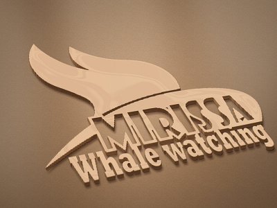 Logo for whale watching company branding design graphic design logo vector