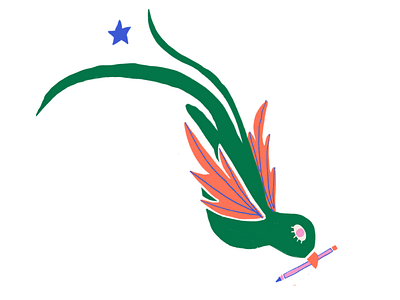 quetzal bird illustrate illustration mural mural art mural design pencil procreate quetzal starbucks