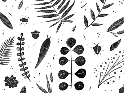 Botanical Pattern blackandwhite botanical foliage leaves nature pattern pnw procreate slugs washington