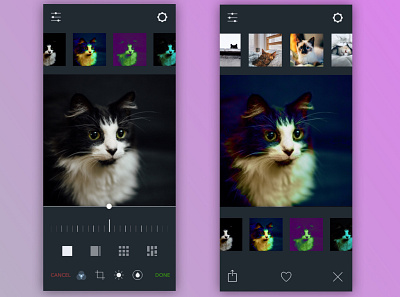 Tuxedo Cat Photo Settings cats daily ui daily ui challenge dailyui dark mode design mobile design mobile ui photography settings ui design visual design