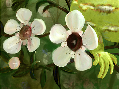 Jewelled Gecko & Manuka Flowers design digital art digital illustration digitalart illustration wacom intuos
