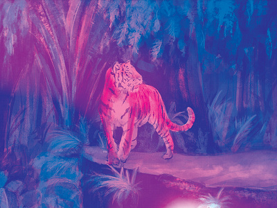 Night Tiger illustration