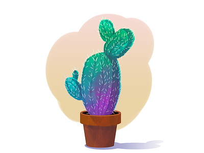 Cactus cactus illustration plant