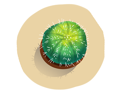 Cactus 2 cactus illustration plant