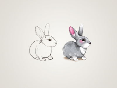 Rabbit icon rabbit