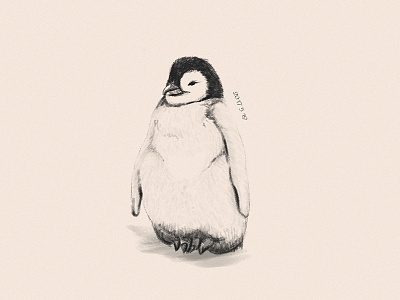 penguin