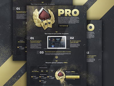 Landing Page "Pro" landing page poker profile uxui design web web design website