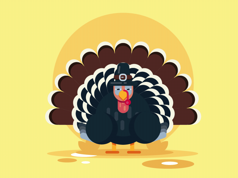 Turkey 2d animation after effect animation animation 2d design flat gif gif animated illustration logo looking thanks giving thanksgiving thanksgiving day turkey