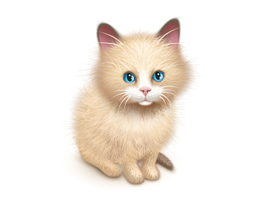 Cat cat fur icon illustration illustrator vector wool