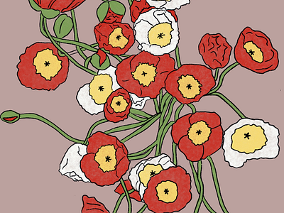 Poppies Illustration