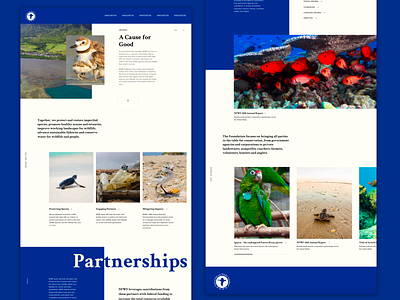 National Fish and Wildlife Foundation Landing Page Concept clean clean app design clean design landing design landing page landing page concept magazine nature nonprofit ui ux ux ui web design website