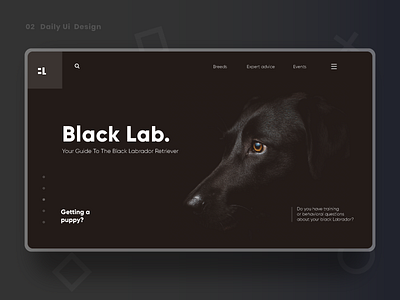 Daily UI 2 Black Lab Concept LP animal care brandidentity color concept design icon minimal pet typography ui uiux webconcept website