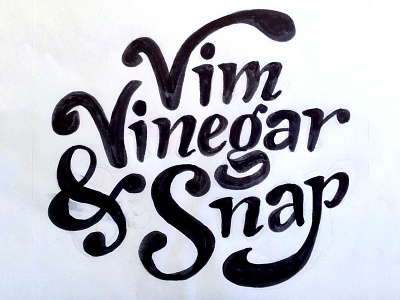 Vim, Vinegar & Snap brush casual lettering