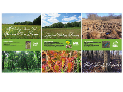 Poster Series for Land Restoration Event ecology green nature poster