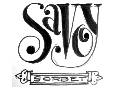 Savoy Lettering Sketch banner lettering retro script serif