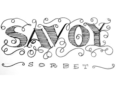 Savoy Lettering Sketch calligraphy flourish lettering serif sketch