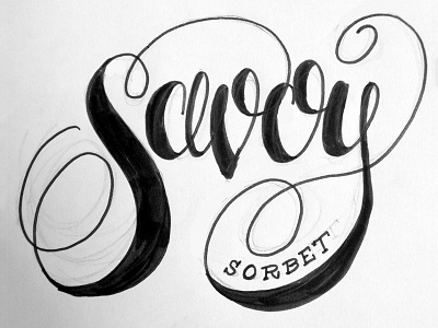 Savoy Lettering Sketch calligraphy flourish lettering script sketch