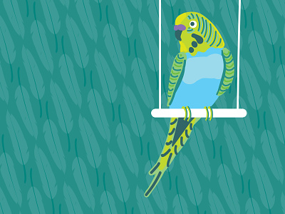 Budgie bird budgie icon illustration parakeet vector