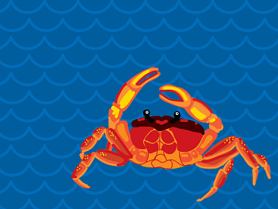 Crab animal crab illustration vector