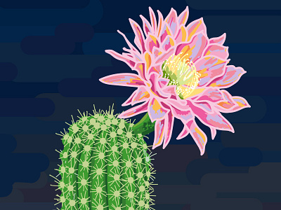 Cactus Flower flower illustration vector