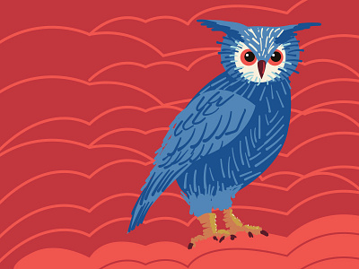 Owl animal illustration owl vector