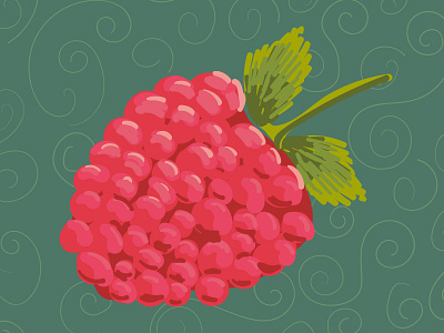 Raspberry food illustration vector