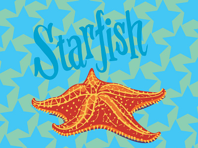 Starfish animal fish handlettering icon illustration lettering vector