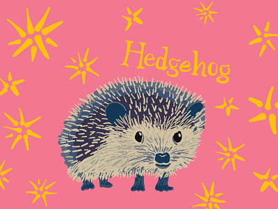 Hedgehog animal hedgehog icon illustration vector wacom