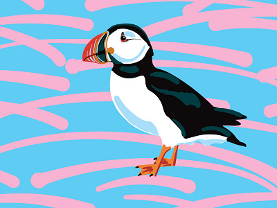 Puffin animal bird iceland illustration puffin vector