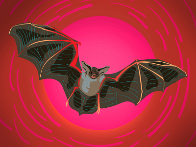 Bat animal bat illustration night vector