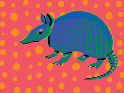 Armadillo