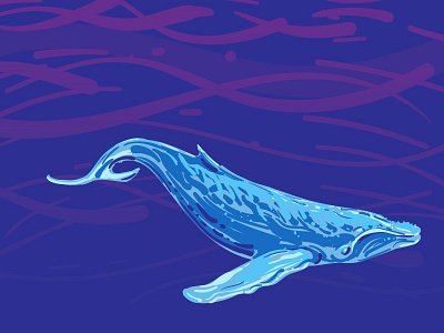 Humpback Whale by Judith Mayer on Dribbble