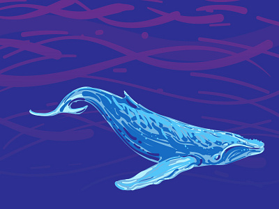 Humpback Whale animal illustration mammal ocean vector water whale