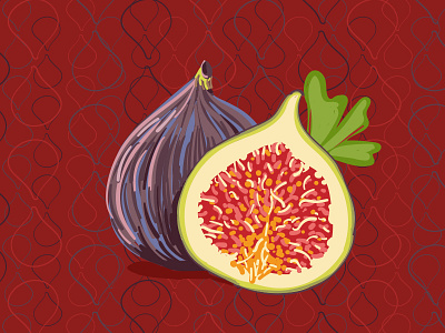 Fig fig food fruit illustration vector wacom