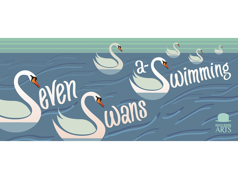 Seven Swans aSwimming by Judith Mayer on Dribbble