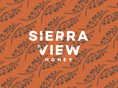 Sierra View Honey - Pattern Exploration bleeding hearts branding floral honey illustration nevada reno rust